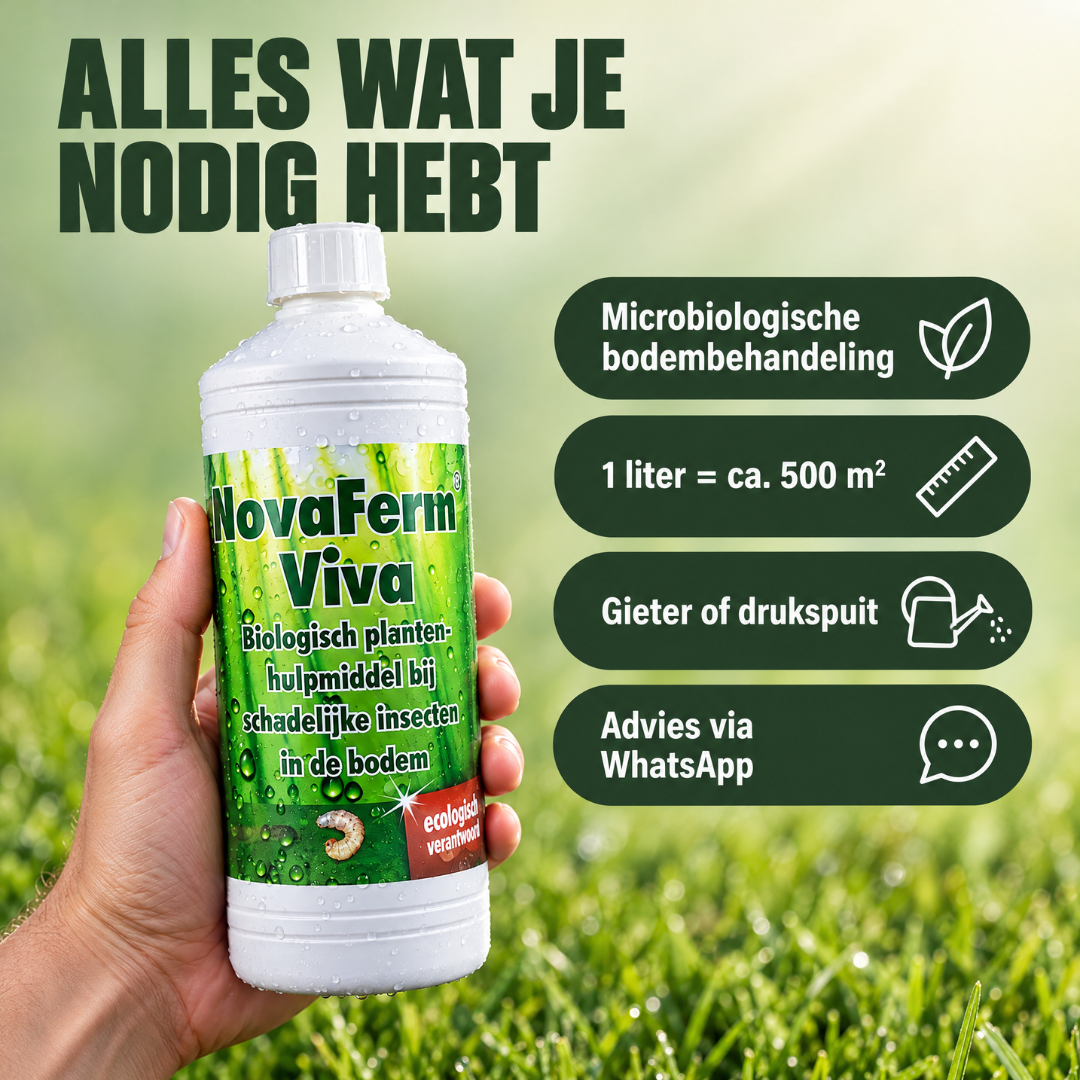 NovaFerm Viva | Biologische oplossing tegen engerlingen en emelten