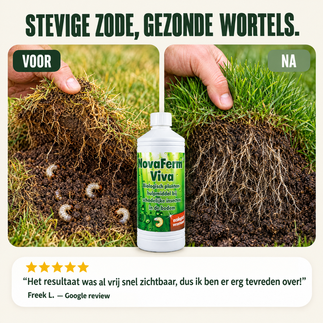 NovaFerm Viva | Biologische oplossing tegen engerlingen en emelten