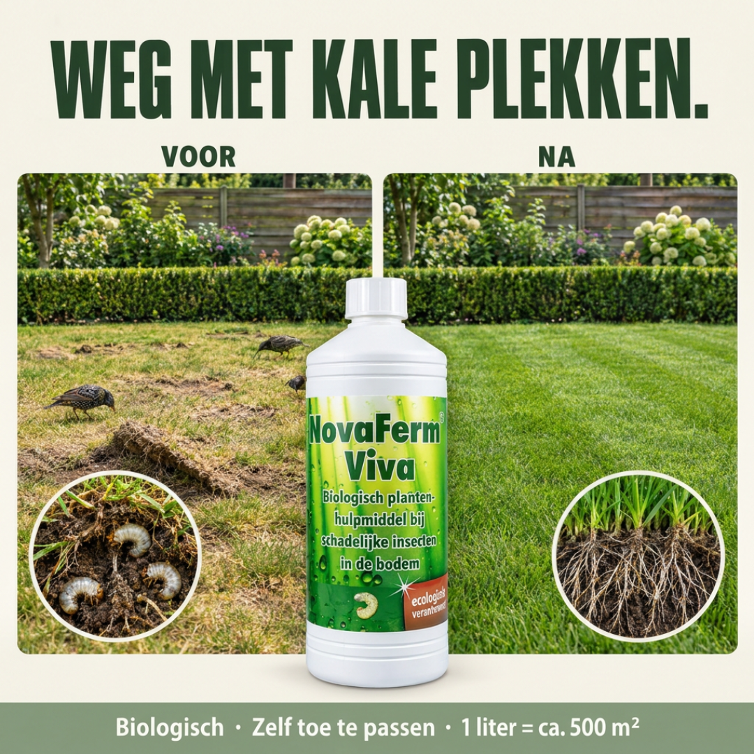 NovaFerm Viva | Biologische oplossing tegen engerlingen en emelten
