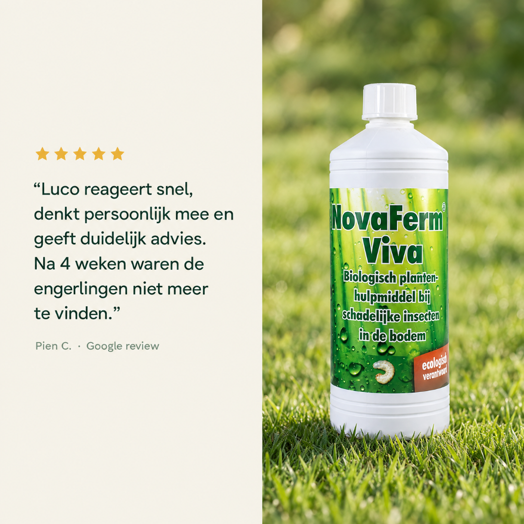 NovaFerm Viva | Biologische oplossing tegen engerlingen en emelten